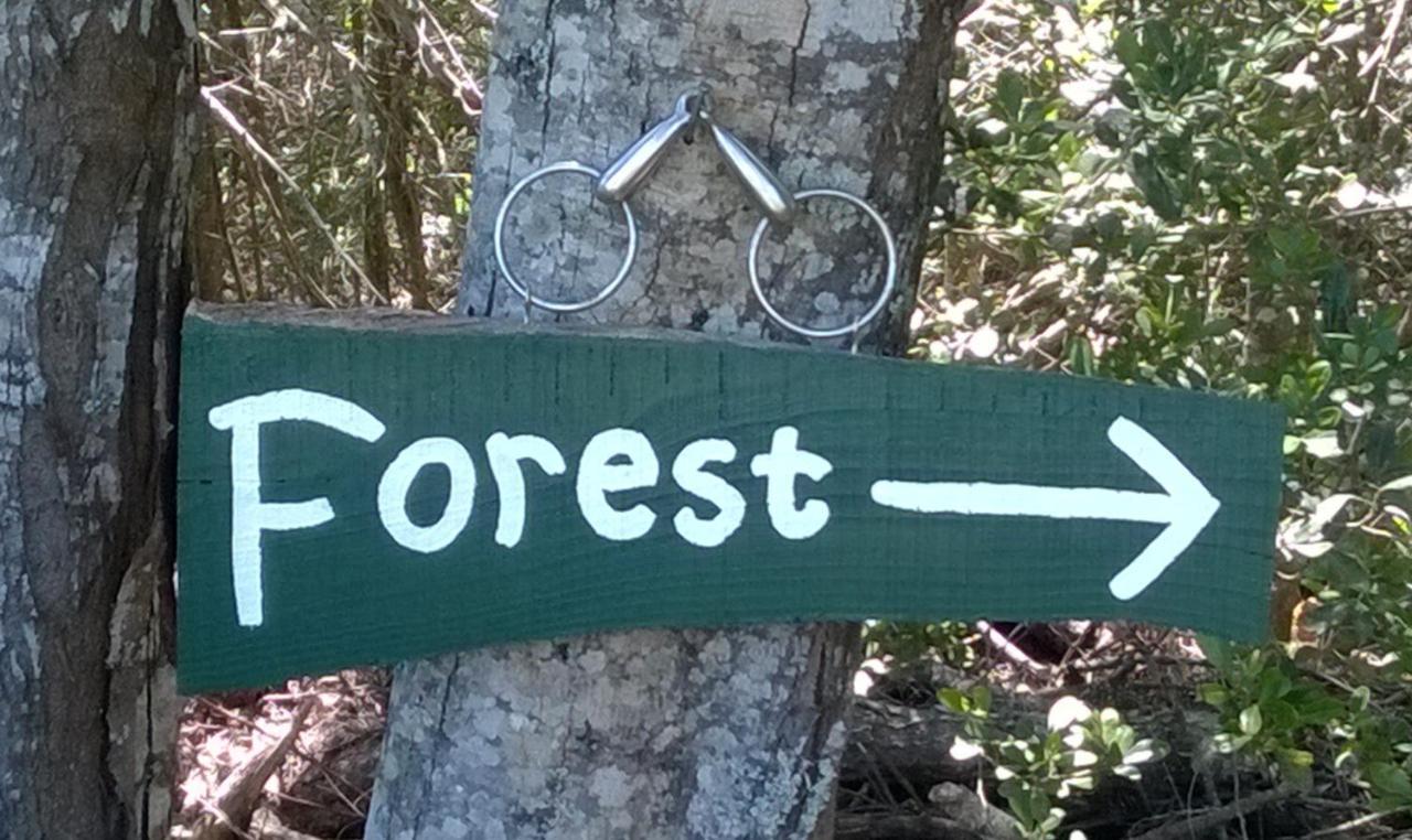 Green Hills Forest Lodge The Crags Экстерьер фото